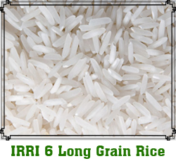 IRRI-6-long-grain-rice