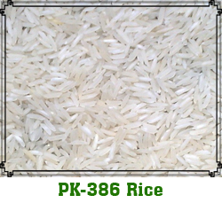 Long-grain-PK-386