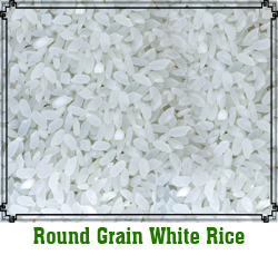 Round-Grain-white-rice