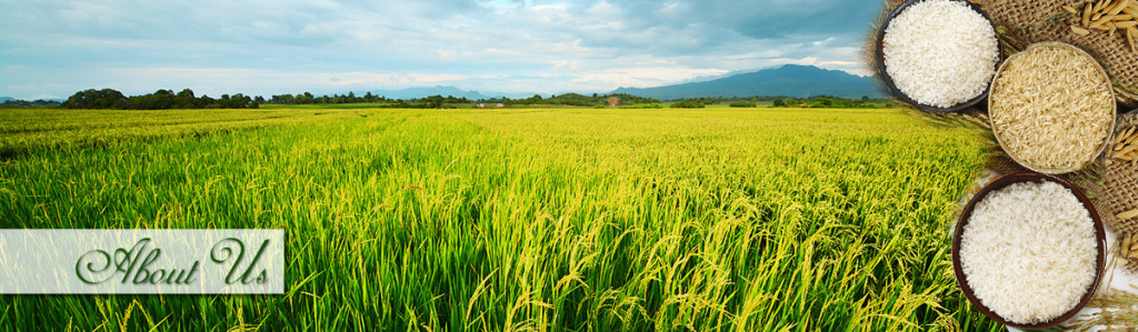 About Us – Kamal Rice Mills Pvt Ltd.